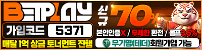 벳플레이
